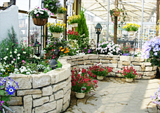 ���|�X�ܓ��̌��{�Ԓd�P