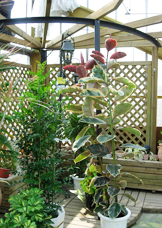 ���|�X�ܓ��̌��{�Ԓd�R