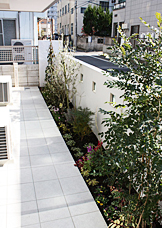 �X�b�L�������V���v�����_���ɍ����A�͂Q